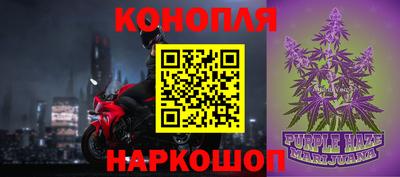 шишки Отрадное