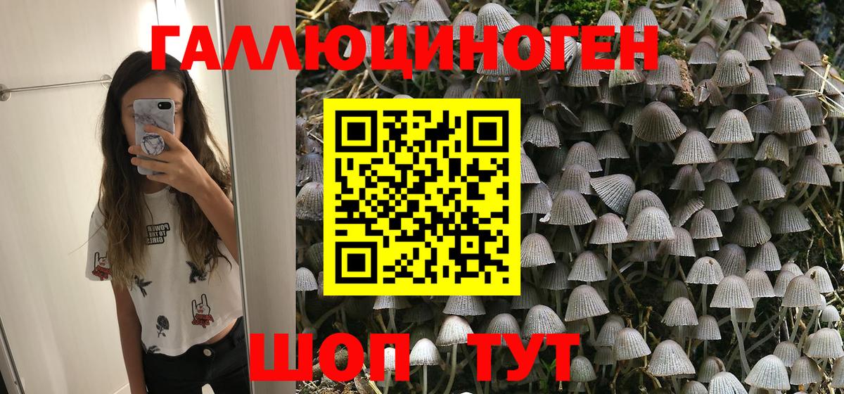 Псилоцибиновые грибы мухоморы Октябрьский